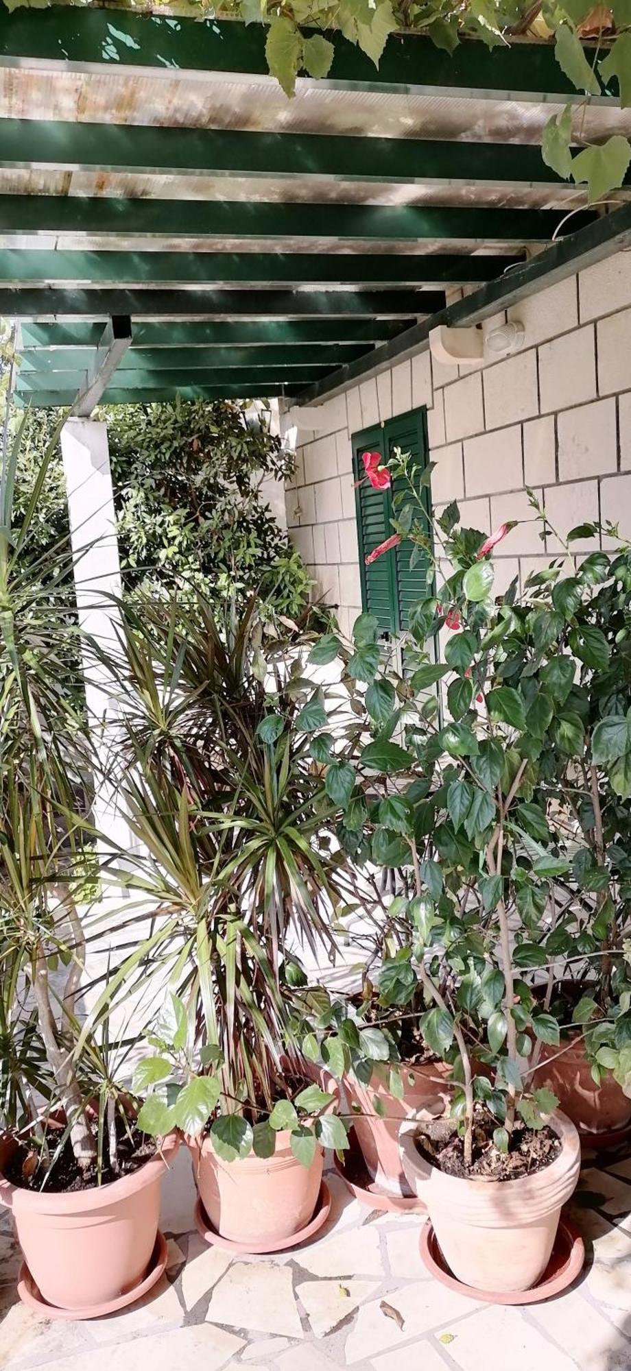 Apartments Fani Kanun Bol Zewnętrze zdjęcie